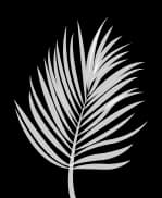Decoration